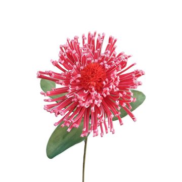 Flor artificial Protea, espuma plástica ISLARTINA, rojo-rosa, 75 cm