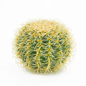 Cactus asiento de suegra de plástico BODOM, amarillo-verde, Ø30cm