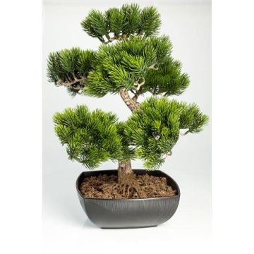 Bonsái pino plástico SHADIA, raíz, maceta bonsái, verde, 50cm