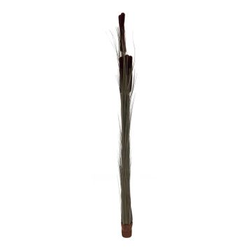 Junco falso DIVO con espádice, palo de fijación, verde-marrón, 150cm