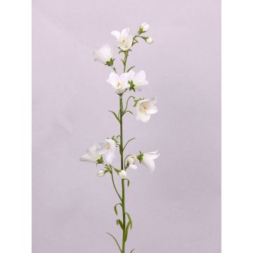 Rama de campanilla artificial GISELA, blanco, 65cm, Ø5cm