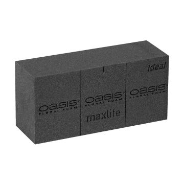 OASIS Black Ideal Maxlife Esponja húmeda para flores artificiales ALENJA para ladrillos con líneas de corte, negro, 23 x 11 x 7,5 cm OASIS Black Ideal Maxlife Esponja húmeda para flores artificiales ALENJA para ladrillos con líneas de corte, negro, 23 x 11 x 7,5 cm