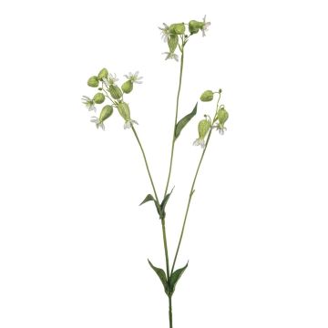 Rama artificial de silene PRANVERA con flores, blanco-verde, 80 cm