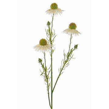Echinacea artificial CELIO, crema, 60cm, Ø6cm