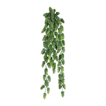 Colgador decorativo de lúpulo DRALHE, varilla, flores, verde, 75 cm Colgador decorativo de lúpulo DRALHE, varilla, flores, verde, 75 cm