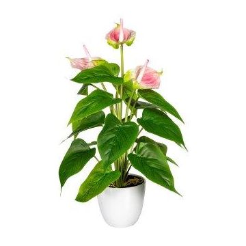 Flor artificial flamingo PLOVIR en maceta decorativa, raíces, rosa, 40 cm