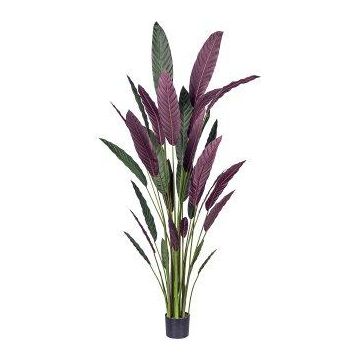 Planta artificial Heliconia SNALHE, verde-burdeos, 210 cm Planta artificial Heliconia SNALHE, verde-burdeos, 210 cm