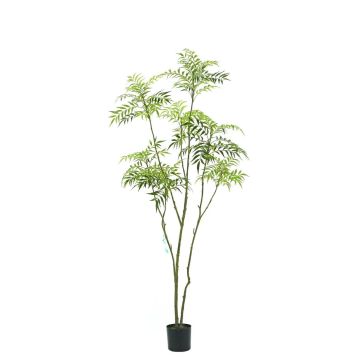 Árbol artificial de mahogany KLEANA, troncos artificiales, verde, 210 cm Árbol artificial de mahogany KLEANA, troncos artificiales, verde, 210 cm