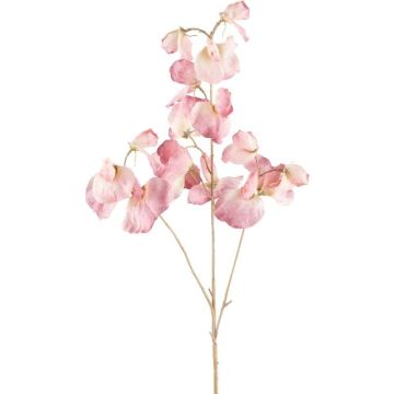 Rama decorativa Lathyrus latifolius SLIRKEN, rosa claro, 75 cm