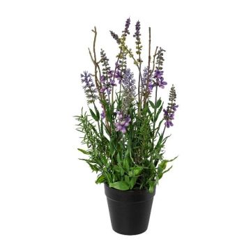 Arreglo floral artificial lavanda ZELAV con salvia, maceta decorativa, morada, 35 cm
