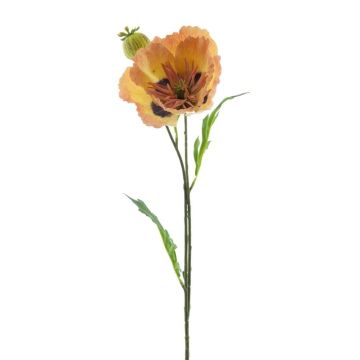Amapola decorativa EDESSA, melocotón-naranja, 80 cm