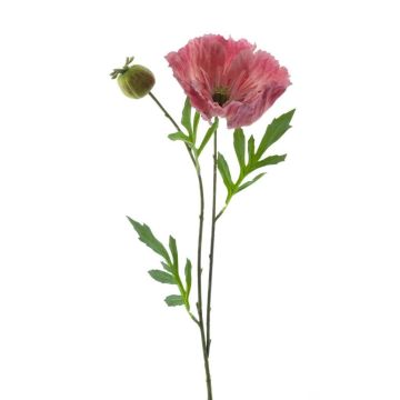 Amapola decorativa EDESSA, rosa, 80 cm