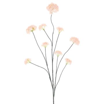 Rama decorativa bola de nieve GRIGO, rosa pálido, 125 cm