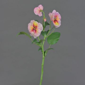 Rama decorativa de pensamientos SIANIE, rosa-rosa-amarillo, 35 cm, Ø 4-6 cm