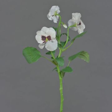 Rama decorativa de pensamientos SIANIE, blanca, 35 cm, Ø 4-6 cm