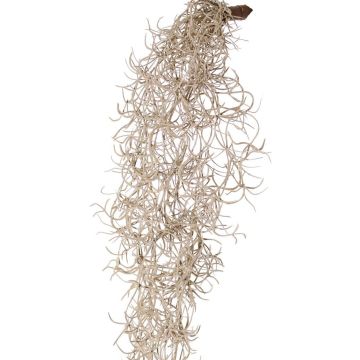 Tillandsia Usneoides artificial LIVADI en varilla, gris, 115 cm Tillandsia Usneoides artificial LIVADI en varilla, gris, 115 cm