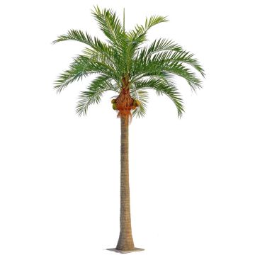 Palmera de coco artificial NARUN con cocos, 570 cm Palmera de coco artificial NARUN con cocos, 570 cm