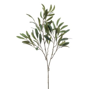 Rama de olivo artificial RIGELIO, 80 cm
