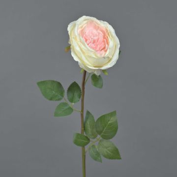 Flor artificial Rosa THYRI, crema-rosa, 65 cm