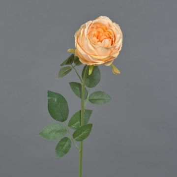 Flor artificial Rosa THYRI, melocotón, 65 cm