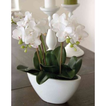 Orquídea Phalaenopsis artificial JASMIN en maceta de cerámica, blanco, 40cm