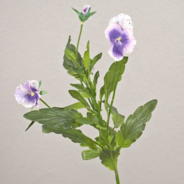 Pensamiento artificial SILANA, blanco-violeta, 30cm