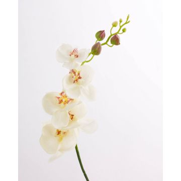 Orquídea Phalaenopsis imitación DAJANA, crema-blanco, 90cm, Ø6-11cm