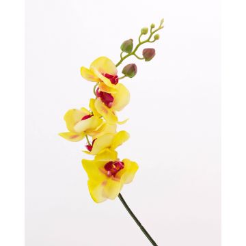 Orquídea Phalaenopsis imitación DAJANA, amarillo-fucsia, 90cm, Ø6-11cm