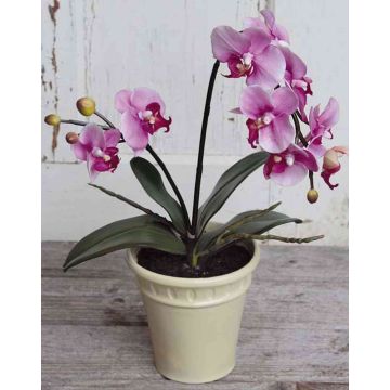 Comprar orquídea artificial en la tienda online de artplants