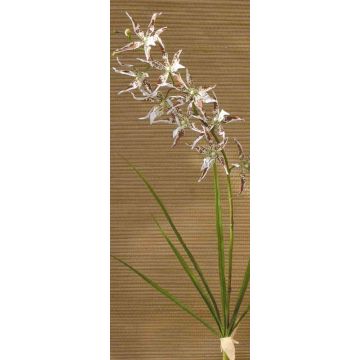 Orquídea Odontoglossum artificial ZOFIA, varilla de ajuste, crema-marrón, 105cm