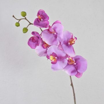 Tallo de Orquídea Phalaenopsis sintética RICKY, rosa, 105 cm