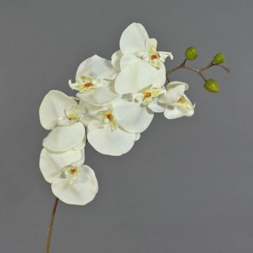 Tallo de Orquídea Phalaenopsis sintética RICKY, blanca, 105 cm
