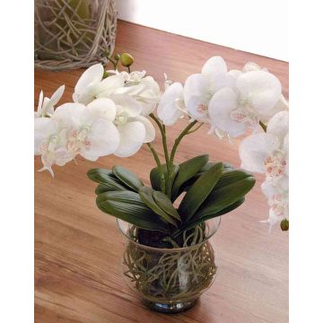 Orquídea Phalaenopsis artificial ASTORIA, en jarrón, crema, 60cm
