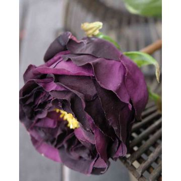 Rosa repollo artificial TAYNARA, morado oscuro, 50cm, Ø9cm