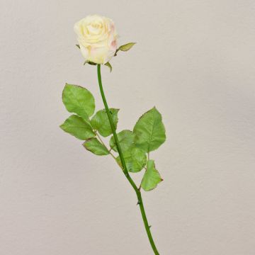 Rosa artificial OPHELIE, rosa-crema, 85cm, Ø7cm