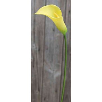 Cala sintética EILEEN, amarillo, 65cm