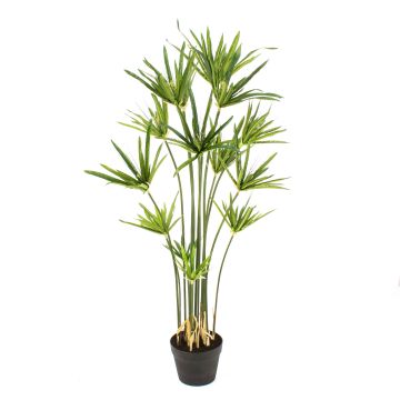 Cyperus sintético ZAHIR, verde, 105cm