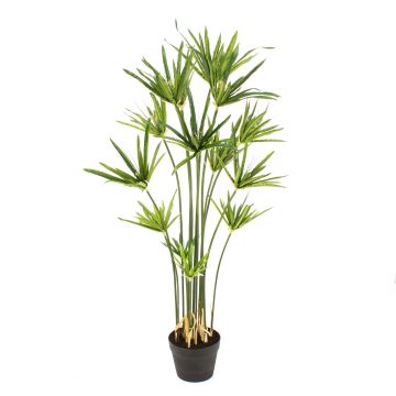 Cyperus sintético ZAHIR, verde, 180cm