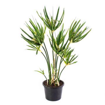 Cyperus artificial SASINA, verde, 55cm