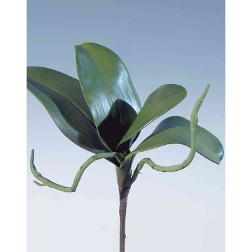 Hojas artificiales de orquídea Phalaenopsis DORTE, raíces aéreas, 22x28cm