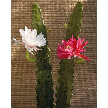 Cactus artificial Reina de la Noche DOMENICA, flor, rosa, 50cm