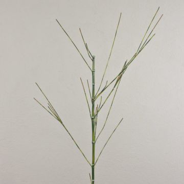 Rama de bambú artificial HARUTO, 135cm