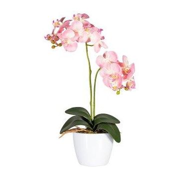 Flor decorativa Phalaenopsis FRUXO, varilla, raíces, rosa, 50 cm