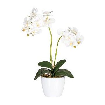 Flor decorativa Phalaenopsis FRUXO, varilla, raíces, blanca, 50 cm