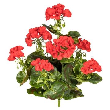 Flor decorativa geranio DOLKREN, varilla, cruzada, roja, 40 cm