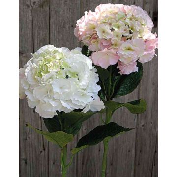 Hortensia artificial ANGELINA, rosa-verde, 70cm, 23cm