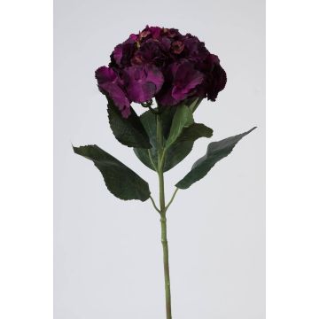 Hortensia falsa ANGELINA, violeta oscuro, 70cm, Ø23cm