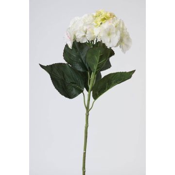 Hortensia falsa ANGELINA, crema-blanco, 70cm, Ø23cm