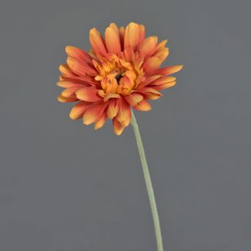 Gerbera con tallo artificial VIRGINIA, naranja, 55cm, Ø11cm