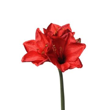 Amaryllis flor sintética BENITA, rojo, 55cm, Ø10cm